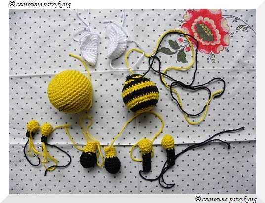 Części Składowe Pani Zenobii